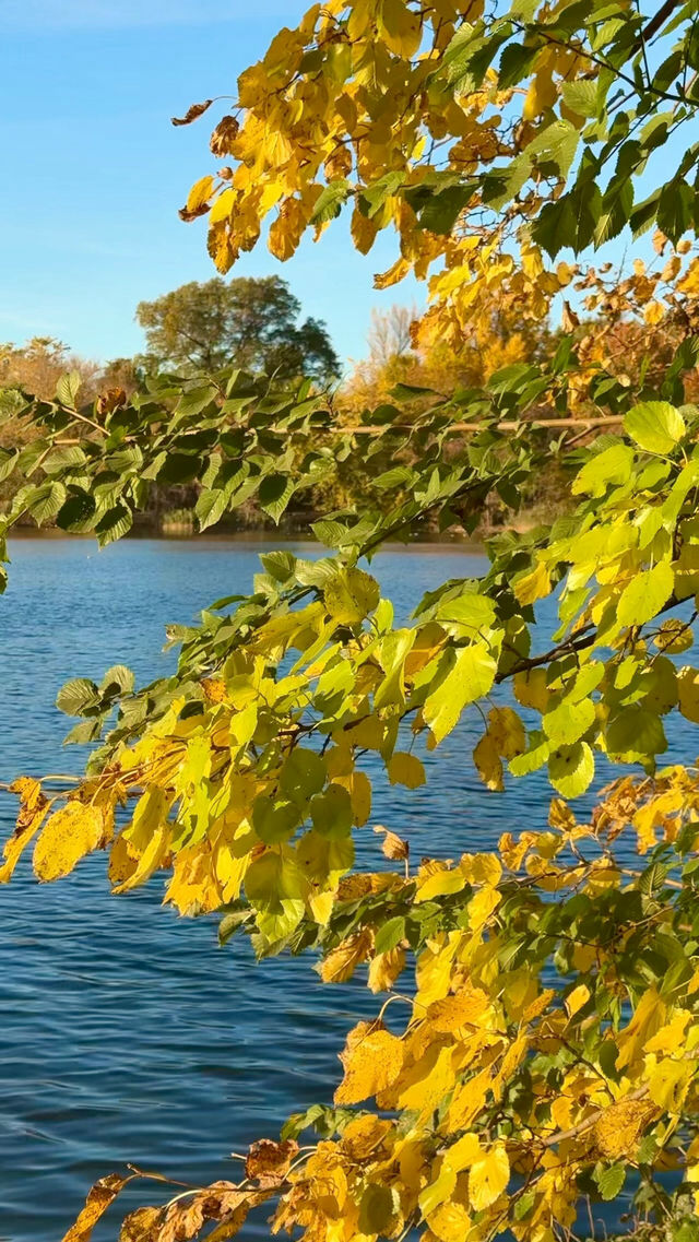 New York | Live Photos: Autumn Palette at Prospect Park