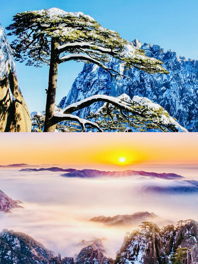 黃山 天下第一奇山的壯麗詩篇。