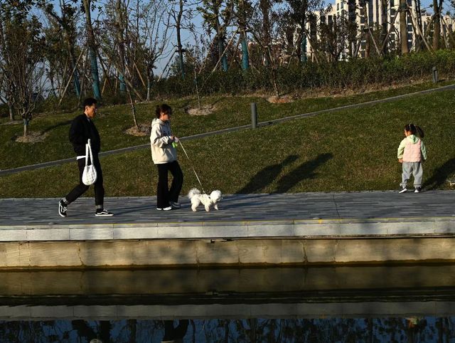 遊上海：桃浦中央綠地公園。