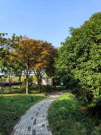 魔都新公園——半馬蘇河公園。