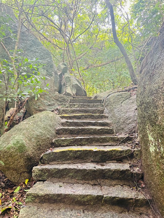 海南三亞-保亭-五指山5日遊 玩轉熱帶天堂必收藏