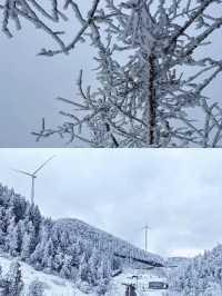 來重慶實現現實版「冰雪奇緣」