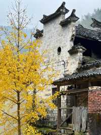 武義山下鮑村，真正的避世秘境村落