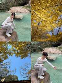 大口國家森林公園 | 森氧秘境，自然華章