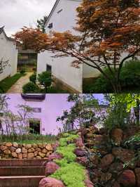 我要向全世界推介九華山文宗古村酒店