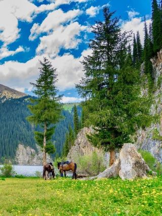 Kazakhstan is visa-free, so why not visit a local hot spring? 