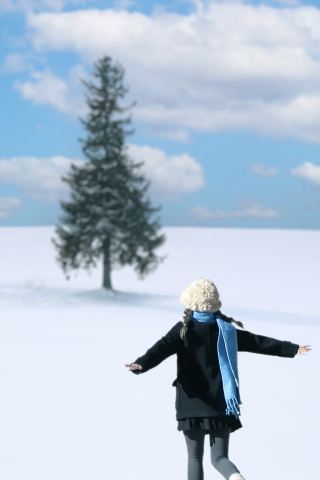 อย่าลืมเก็บฤดูหนาวไว้เที่ยวฮอกไกโดนะ! คู่มือแนบ