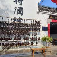 冬日不一樣的西溪湿地公園