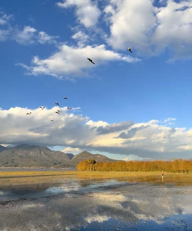 拉市海濕地公園