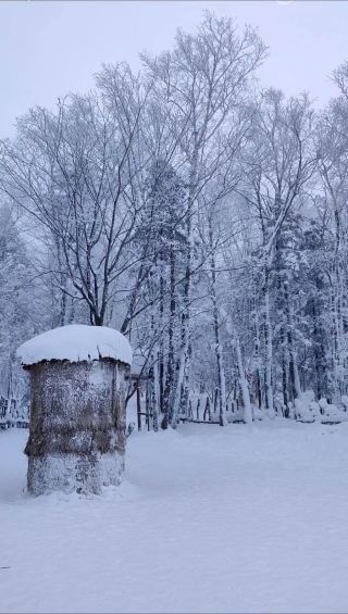 Snow →_→ Winter nature beauty →_→ Gouxiongling