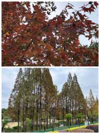 閩江公園休閒的好地方啊走一走開心