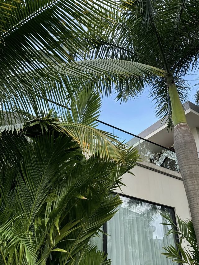 西雙版納度假住進熱帶雨林 西雙版納度假住進熱帶雨林