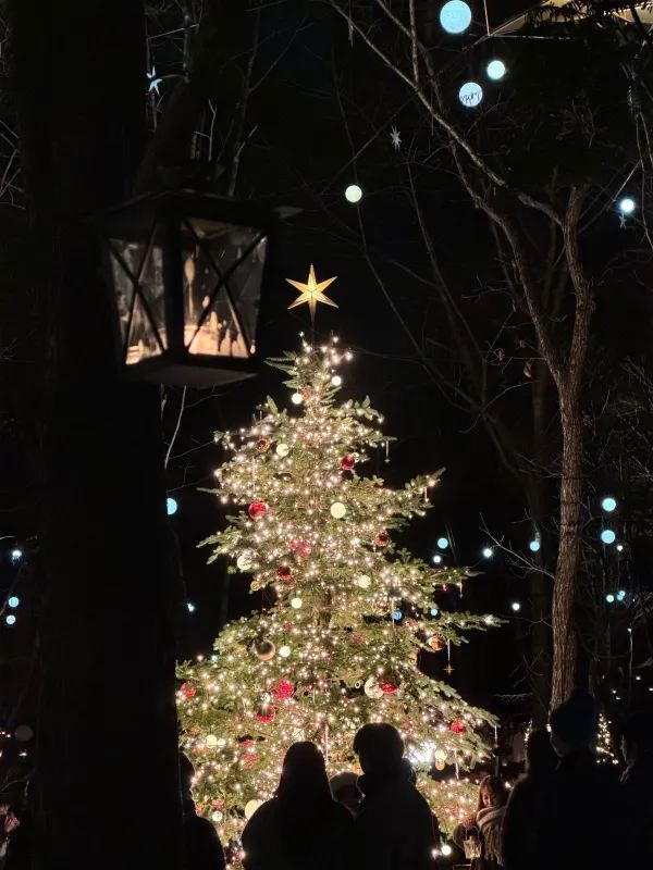 Experience a Romantic Christmas Near Tokyo: Karuizawa Kogen Church