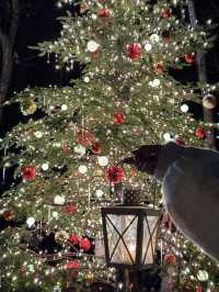 Experience a Romantic Christmas Near Tokyo: Karuizawa Kogen Church