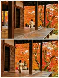 京都·常寂光寺「伏在山坡的美人」體驗和服之美