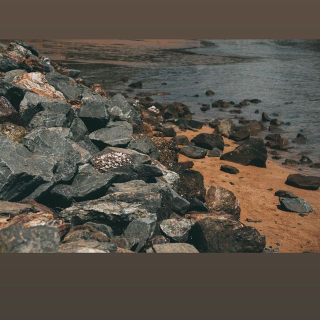 布里斯班捕魚記：海風裏的詩與遠方