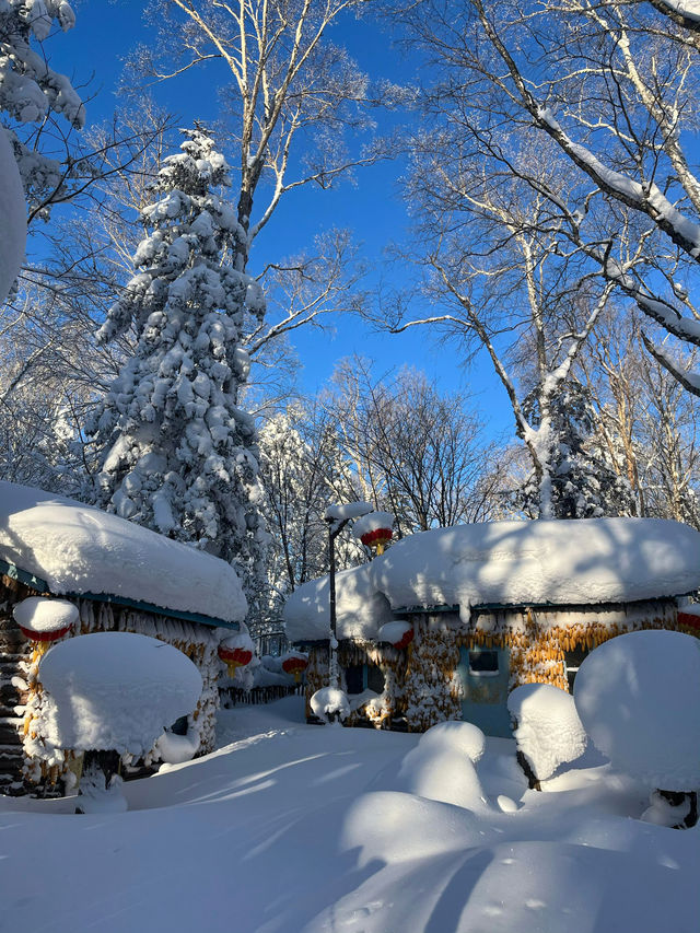 黑龍江的「富士山」，像是走進了林海雪原的夢裏