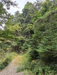 南昌-廬山-景德鎮3日遊超全攻略 玩轉江西