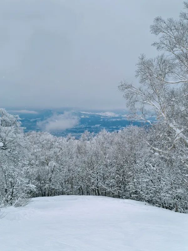 Explore the Dynamic Skiing Experience at Shiga Kogen Ski Resort in Nagano