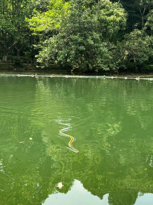 6天暢遊上海-蘇州-杭州 朋友圈熱門行程來啦