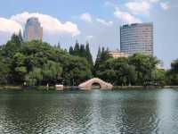 寧波月湖公園 | 宛如仙境的城市綠洲