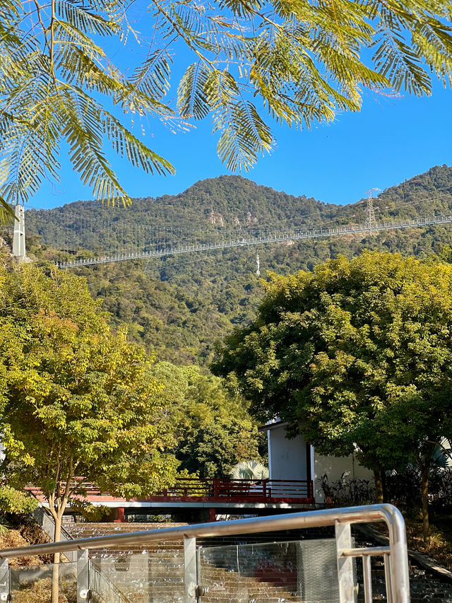 到南丹山接福接財過大年
