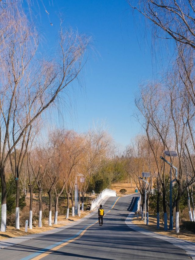 在鄭州不在洱海，冬季這裡美得像是天堂