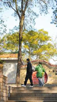 韶關旅遊免門票｜馬壩人遺址