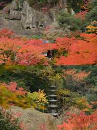 在小松那谷寺，邂逅一場治癒的日光禪境