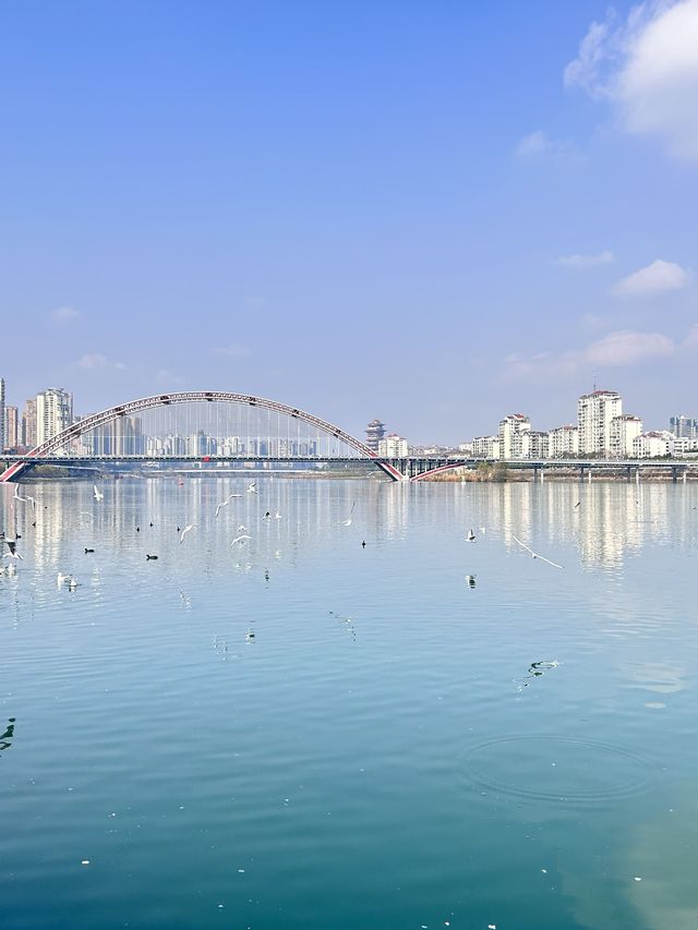 黔東南-柳州-黔南4日遊全攻略玩轉三地 不走冤枉路