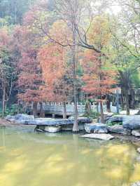 順峰山公園｜順德「新十景」之一