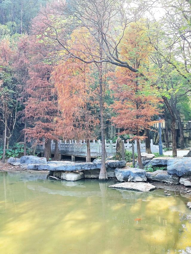順峰山公園｜順德「新十景」之一