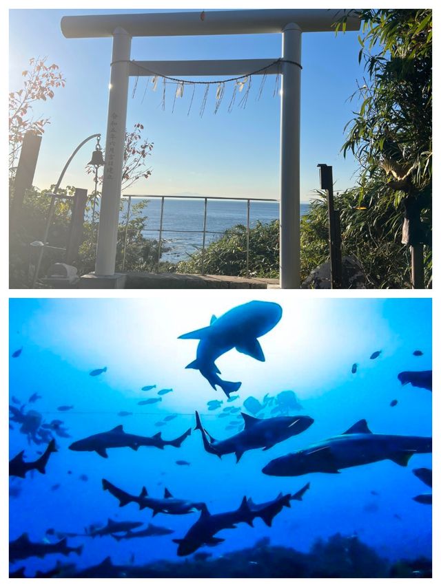 館山寺：日本的清幽禪境