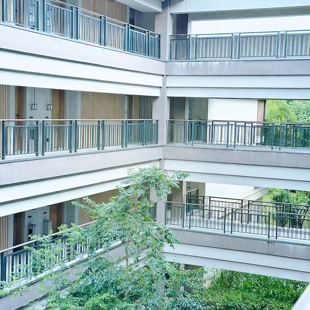 "逃離城市喧囂，清遠呢間酒店畀你搵返真正嘅寧靜！"