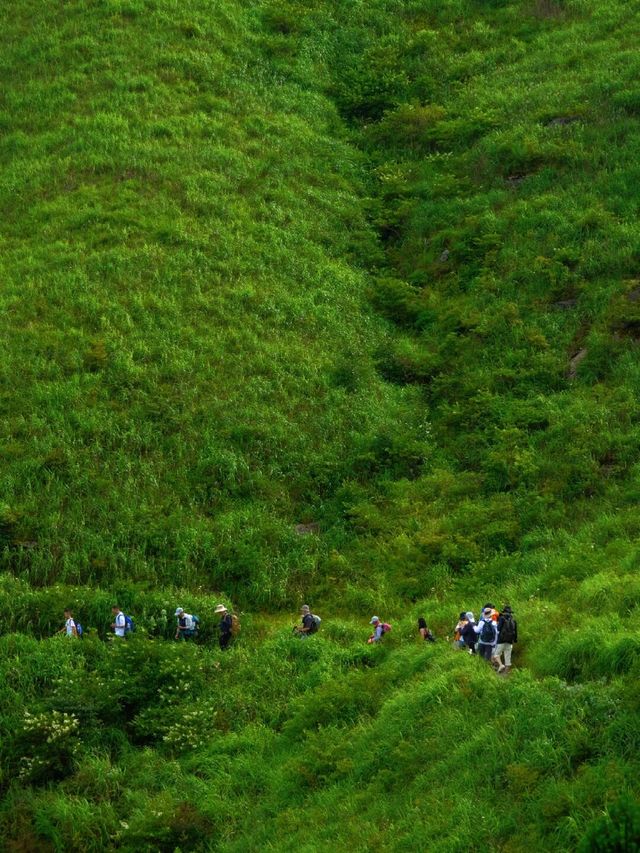 廣東6大「武功山」同款高山草甸