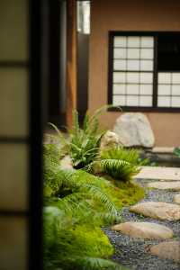 【武夷山觀藍舒苑】棲山而居 | 心靈歸屬