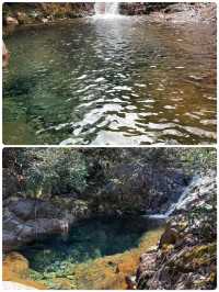 在大奇山國家森林公園偶遇“神秘生物”，你猜是啥？