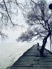 蘇州西山島 | 一場治癒人心的自駕一日遊