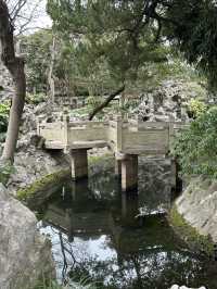 尋找春天，我選擇桂林公園，寧靜且美好