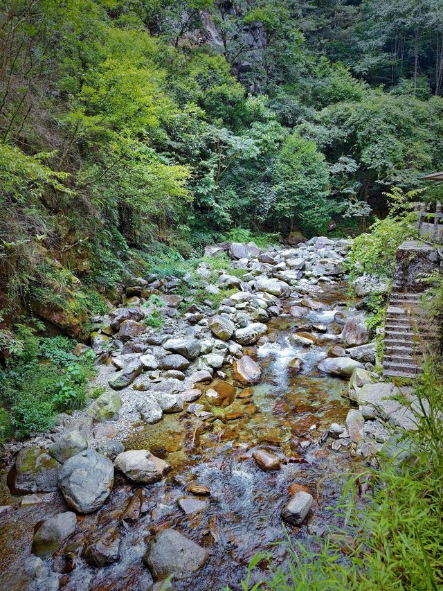 貴州銅仁梵淨山一日遊