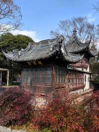 桂林公園探梅記