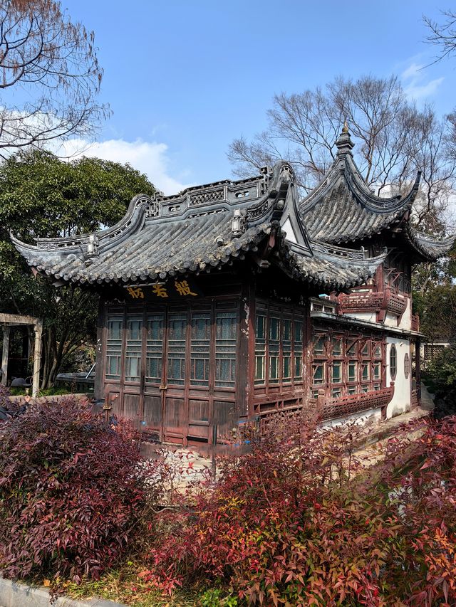 桂林公園探梅記