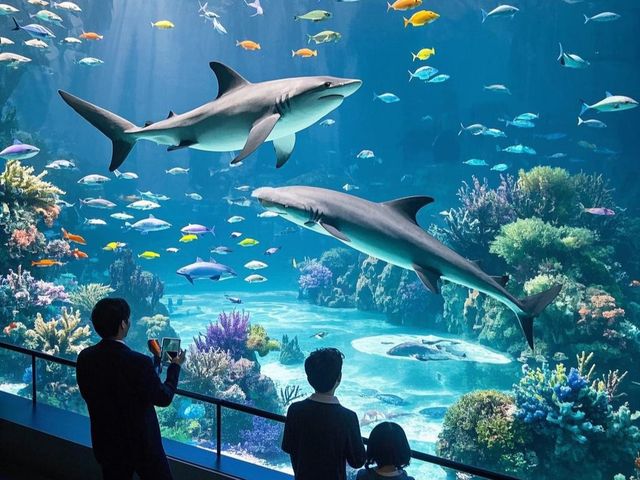 鄭州海昌海洋公園：一場奇幻的海洋探險