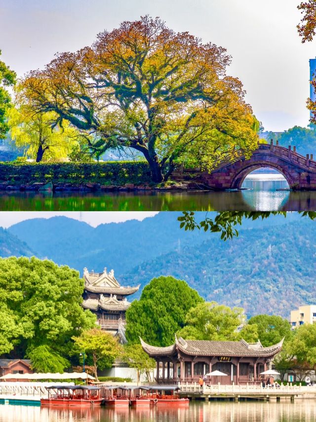 冬季嘅臨海，真係贏麻咗。