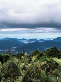 Experience the Beauty of Yalong Bay Tropical Paradise Forest Park