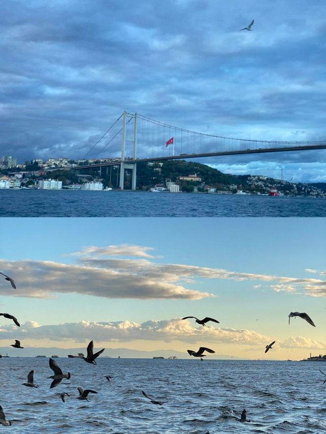 博德魯姆：土耳其海濱嘅夢幻綺境
