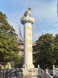 白雀寺