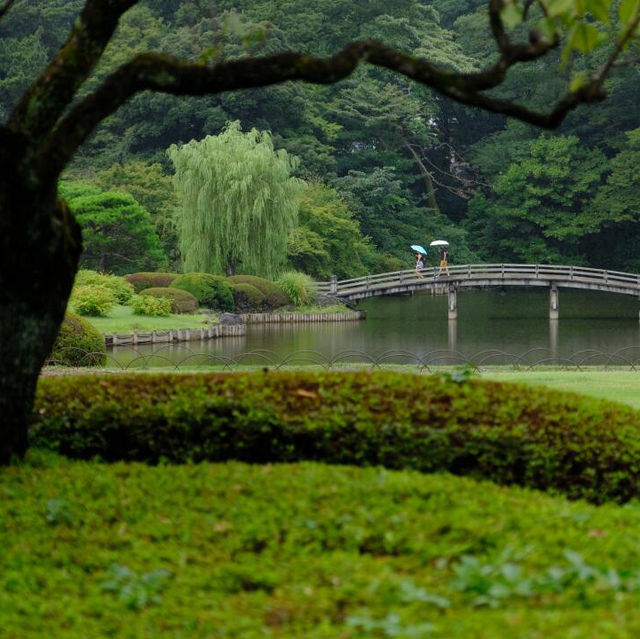 🌸東京秘境！鬧市中的皇家園林全攻略🍀