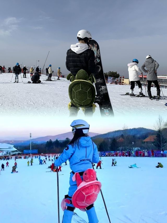 平頂山暢享冰雪樂趣，邂逅冬日浪漫