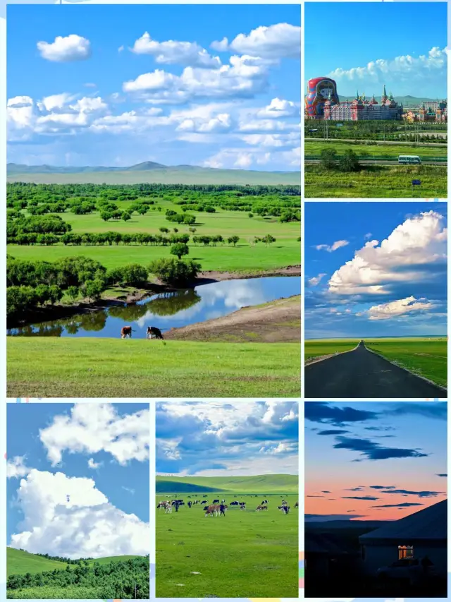 Cưỡi ngựa qua đồng cỏ Hulunbuir